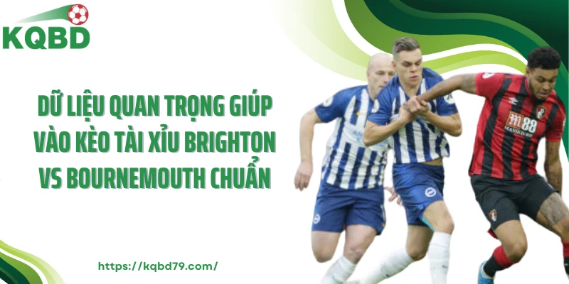 Dữ liệu quan trọng giúp vào kèo tài xỉu Brighton vs Bournemouth chuẩn